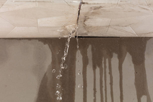 Professional Burst Pipe Cleanup technician working in Inglewood, CA